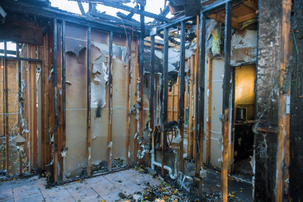 Professional Smoke Damage Removal technician working in Frenchtown, NJ