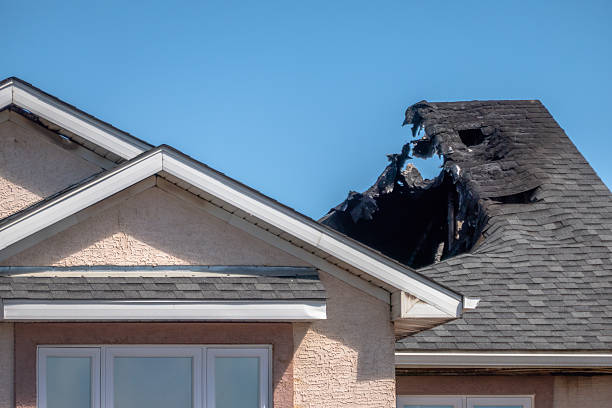 Top rated local Smoke Damage Removal specialists in Frenchtown, NJ